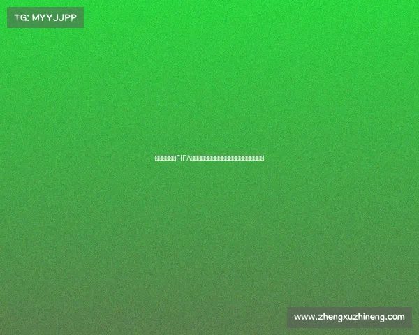 世界杯朴智星FIFA传奇征战回顾与韩国足球荣耀之路经典瞬间再现